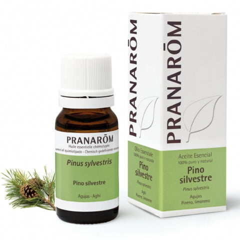 Comprar online PINO SILVESTRE AGUJAS 100 ml de PRANAROM. Imagen 1