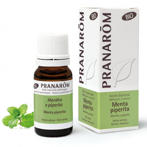 Comprar online MENTA PIPERITA PARTES AEREAS 10 ml BIO de PRANAROM. Imagen 1