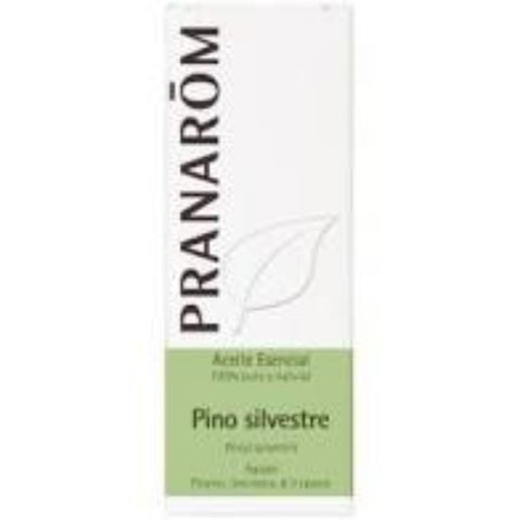 Comprar online PINO SILVESTRE AGUJAS 10 ml de PRANAROM. Imagen 1