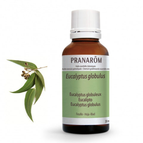 Comprar online EUCALIPTO HOJA 30 ml de PRANAROM. Imagen 1