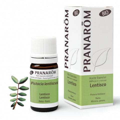 Comprar online LENTISCO RAMA BIO ECO* 5 ML de PRANAROM. Imagen 1