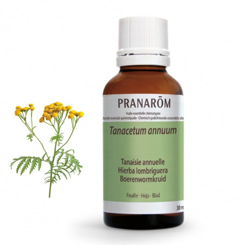 Comprar online HIERBA LOMBRIGUERA HOJA 30 ml de PRANAROM. Imagen 1