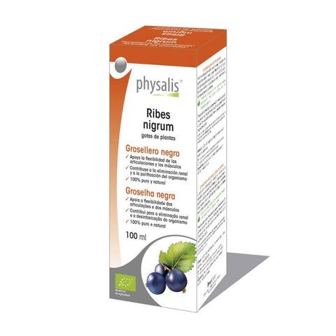 Comprar online RIBES NIGRUM 100 ml de PHYSALIS. Imagen 1