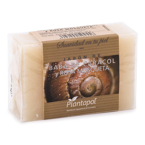 Comprar online JABON NATURAL BABA CARACOL Y ROSA MOSQUETA 100 gr de PLANTA POL. Imagen 1