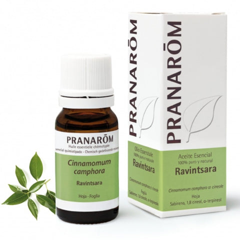 Comprar online RAVINTSARA HOJA 100 ml de PRANAROM. Imagen 1