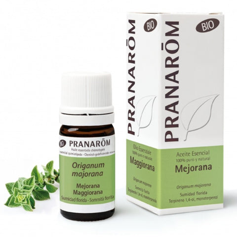 Comprar online MEJORANA SUMIDAD FLORIDA BIO ECO* 5 ML de PRANAROM. Imagen 1