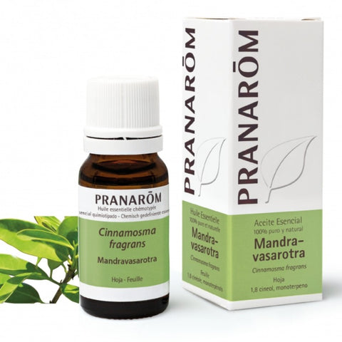 Comprar online MANDRAVASAROTRA HOJA 10 ml BIO de PRANAROM. Imagen 1