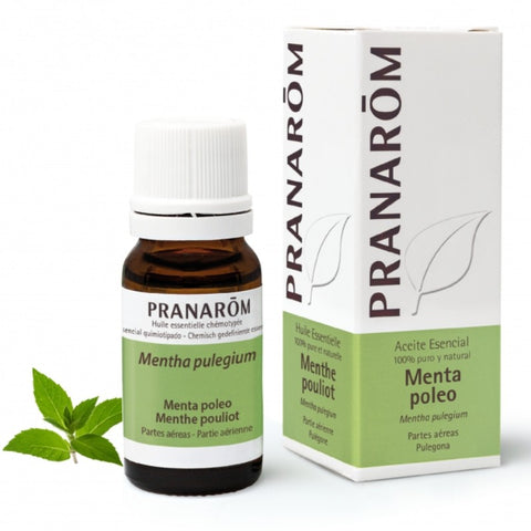Comprar online MENTA POLEO PARTES AEREAS 10 ml de PRANAROM. Imagen 1