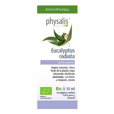 Comprar online EUCALIPTO RADIATA 10 ml de PHYSALIS. Imagen 1