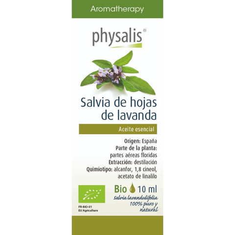 Comprar online SALVIA DE HOJA PEQUEÑA 10 ml de PHYSALIS. Imagen 1
