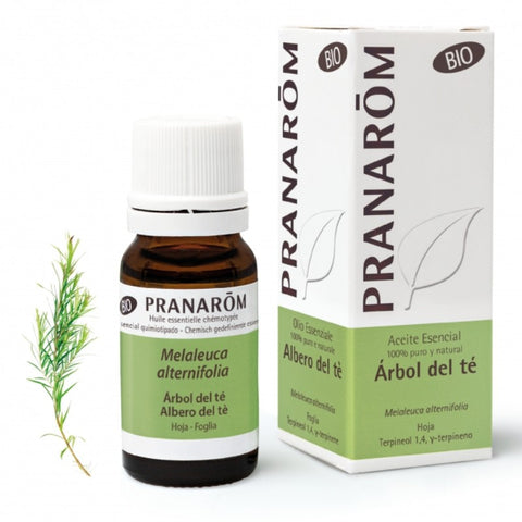 Comprar online ARBOL DEL TE HOJA 100 ml BIO de PRANAROM. Imagen 1