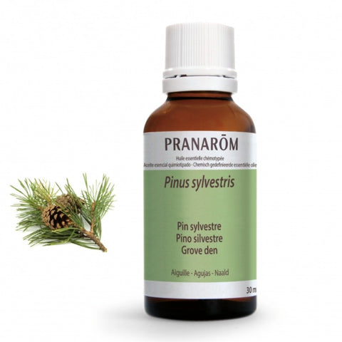 Comprar online PINO SILVESTRE AGUJAS 30 ml de PRANAROM. Imagen 1