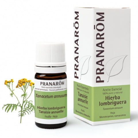 Comprar online HIERBA LOMBRIGUERA HOJA 5 ml de PRANAROM. Imagen 1