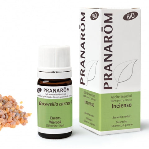 Comprar online INCIENSO OLEORESINA 5 ml BIO de PRANAROM. Imagen 1