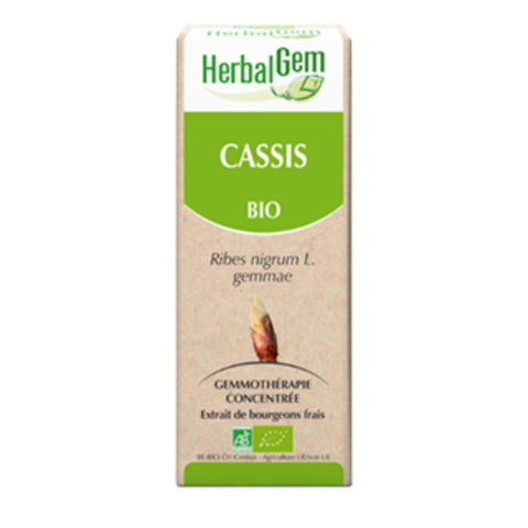 Comprar online GROSELLERO NEGRO BIO 15 ml de HERBALGEM. Imagen 1