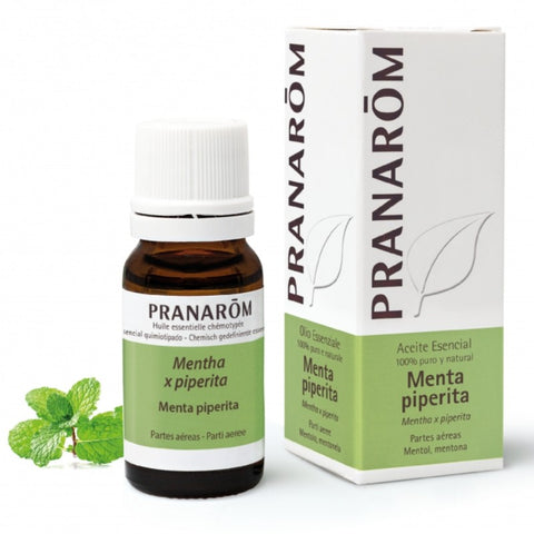 Comprar online MENTA PIPERITA PARTES AEREAS 100 ml de PRANAROM. Imagen 1