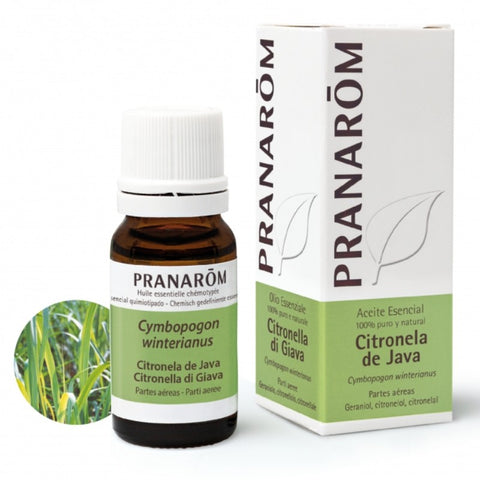 Comprar online CITRONELA DE JAVA PARTES AEREAS 100 ml de PRANAROM. Imagen 1