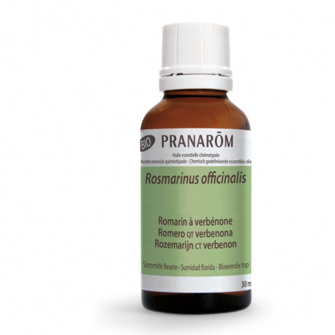 Comprar online ROMERO QT VERBENONA SUMIDAD FLORIDA 30 ml BIO de PRANAROM. Imagen 1