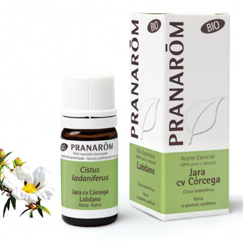 Comprar online JARA CV CORCEGA RAMA 5 ml BIO de PRANAROM. Imagen 1
