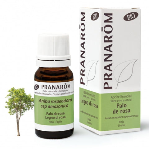 Comprar online PALO DE ROSA HOJA 10 ml BIO de PRANAROM. Imagen 1