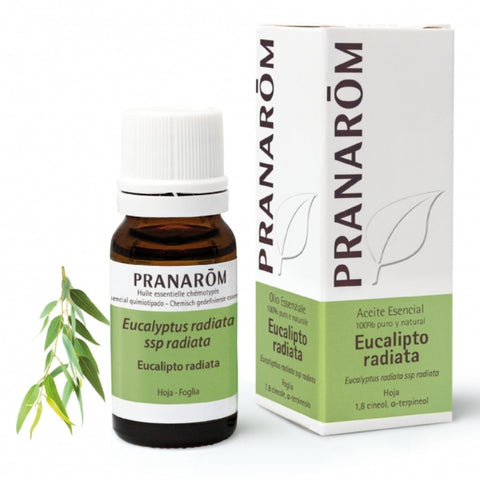 Comprar online EUCALIPTO RADIATA HOJA 100 ml de PRANAROM. Imagen 1