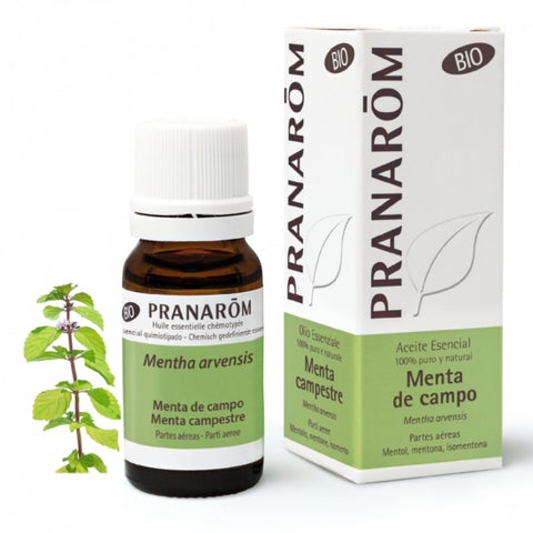 Comprar online MENTA DE CAMPO PARTES AEREAS 100 ml de PRANAROM. Imagen 1