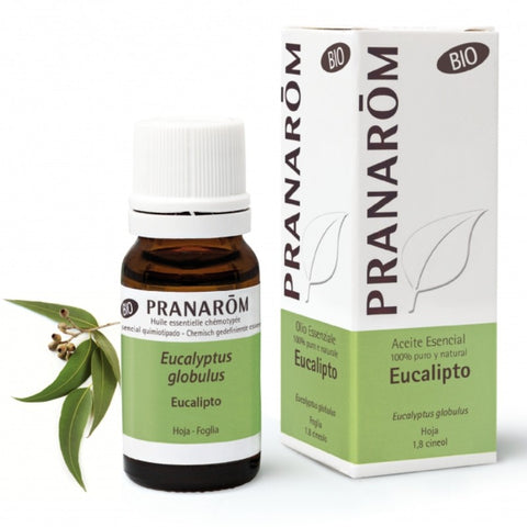 Comprar online EUCALIPTO HOJA 10 ml BIO de PRANAROM. Imagen 1