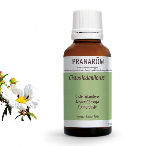Comprar online JARA CV CORCEGA RAMA 30 ml de PRANAROM. Imagen 1