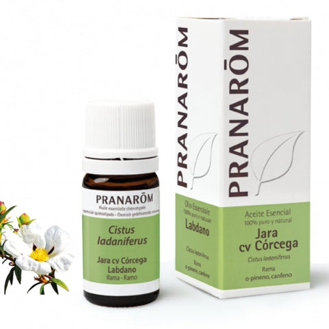Comprar online JARA CV CORCEGA RAMA 5 ml de PRANAROM. Imagen 1