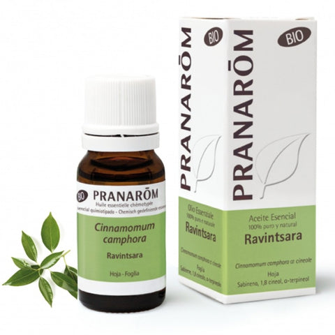 Comprar online RAVINTSARA HOJA 100 ml BIO de PRANAROM. Imagen 1