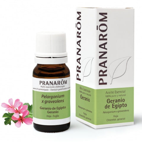 Comprar online GERANIO DE EGIPTO HOJA 100 ml de PRANAROM. Imagen 1