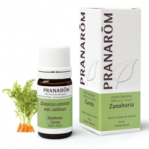 Comprar online ZANAHORIA FRUTO 5 ML de PRANAROM. Imagen 1