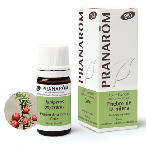 Comprar online ENEBRO DE LA MIERA RAMA 5 ml de PRANAROM. Imagen 1