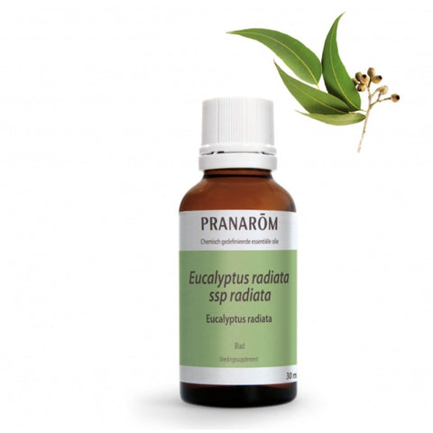 Comprar online EUCALIPTO RADIATA HOJA 30 ml de PRANAROM. Imagen 1