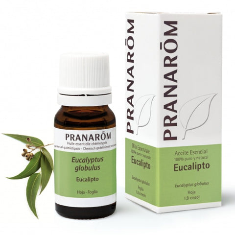 Comprar online EUCALIPTO HOJA 100 ml de PRANAROM. Imagen 1
