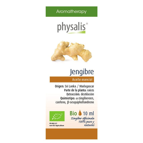 Comprar online JENGIBRE 10 ml de PHYSALIS. Imagen 1