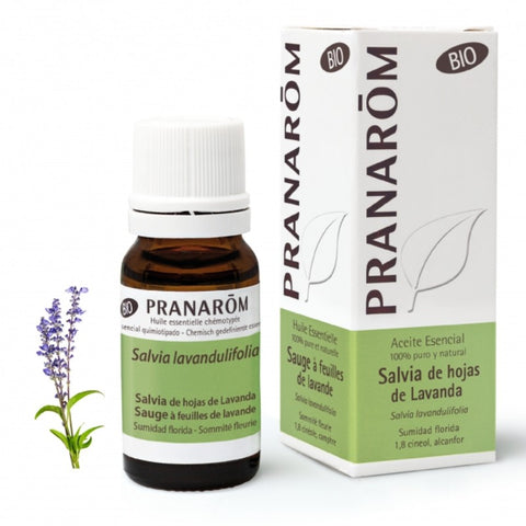 Comprar online SALVIA DE HOJAS DE LAVANDA SUMIDAD FLORIDA 10 ml de PRANAROM. Imagen 1