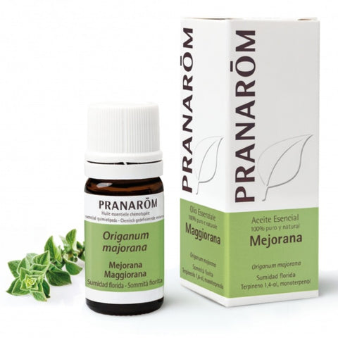 Comprar online MEJORANA SUMIDAD FLORIDA 5 ML de PRANAROM. Imagen 1