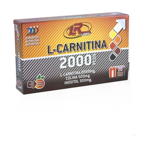 Comprar online L-CARNITINA 2000 PLUS 20 ampollas 10 ml de PRISMA NATURAL. Imagen 1