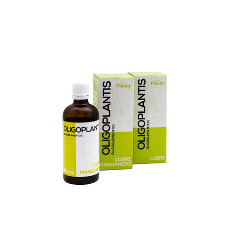 Comprar online OLIGO GINKGO 100 ML de PLANTIS. Imagen 1