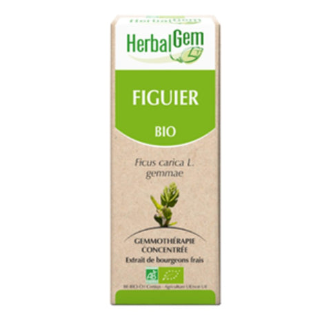 Comprar online HIGUERA BIO 50 ml de HERBALGEM. Imagen 1