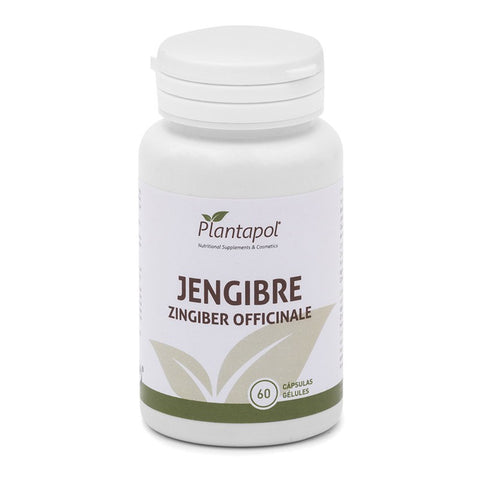 Comprar online JENGIBRE 60 CAPSULAS 600 MG de PLANTA POL. Imagen 1