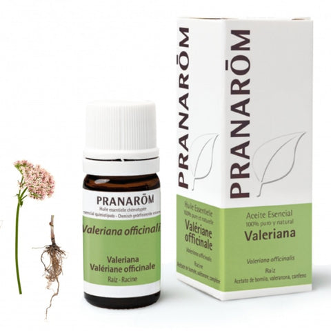 Comprar online VALERIANA RAIZ 5 ml de PRANAROM. Imagen 1