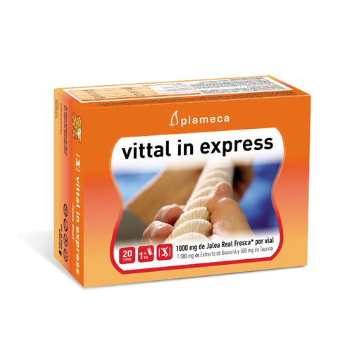Comprar online VITTAL IN EXPRESS de PLAMECA. Imagen 1