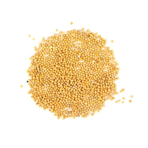 Comprar online MOSTAZA AMARILLA EN GRANO 1 KILO de PINISAN. Imagen 1