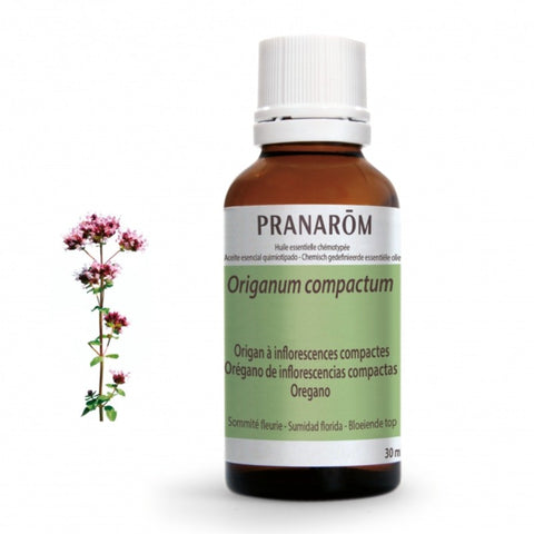 Comprar online OREGANO DE INFLORESCENCIAS COMPACTAS 30 ml de PRANAROM. Imagen 1