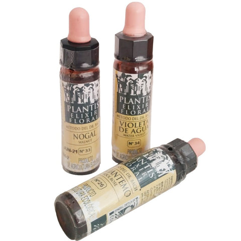 Comprar online CENTAURA-4 ELIXIR FLORAL ECO S/A 10 ml de ARTESANIA AGRICOLA. Imagen 1