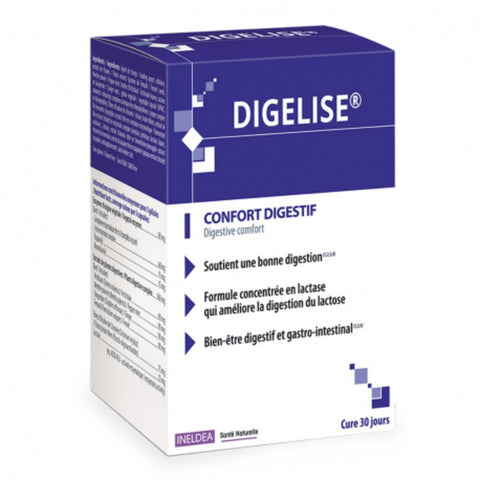 Comprar online DIGELISE 90 Cap 30 DIAS de INELDEA. Imagen 1