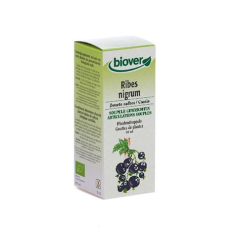 Comprar online RIBES NIGRUM 50 ml GROSELLERO NEGRO de BIOVER. Imagen 1