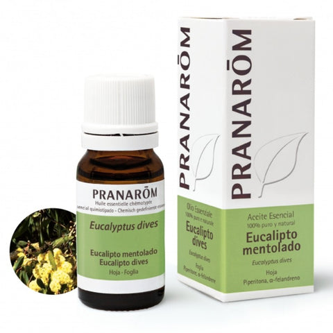 Comprar online EUCALIPTO MENTOLADO HOJA 10 ML de PRANAROM. Imagen 1